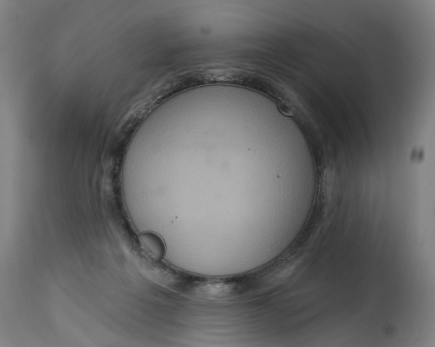 X0000114720217200911121740