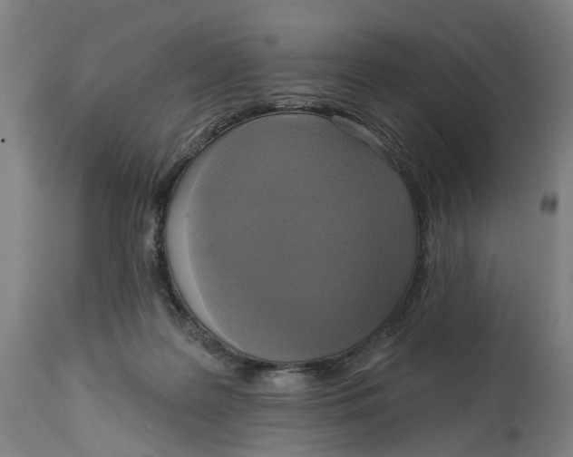 X0000114720219200911121740