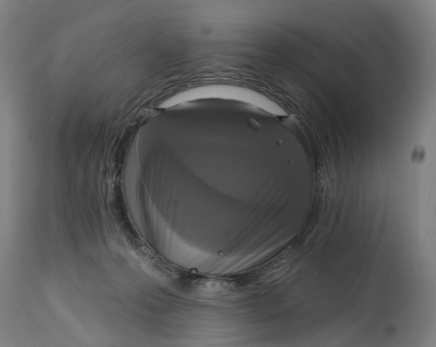 X0000114720223200911121739