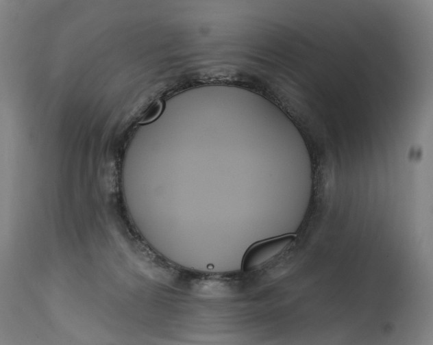 X0000114720224200911121739