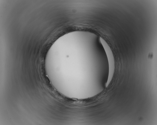 X0000114720225200911121739