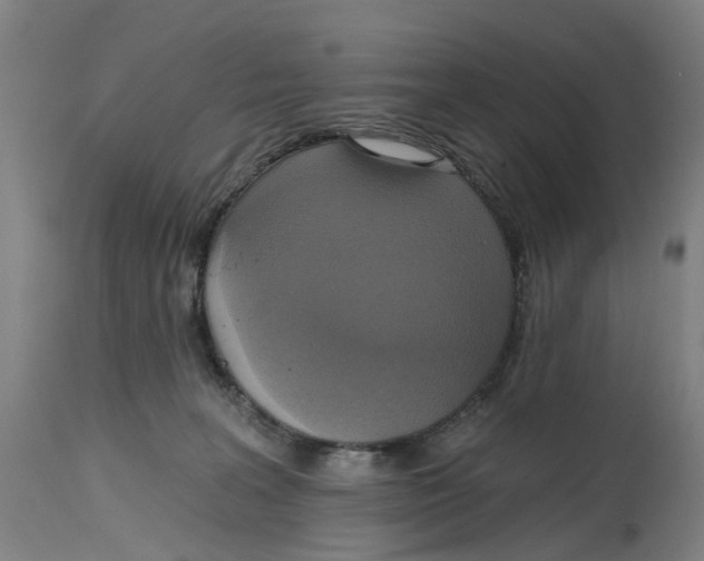 X0000114720227200911121739