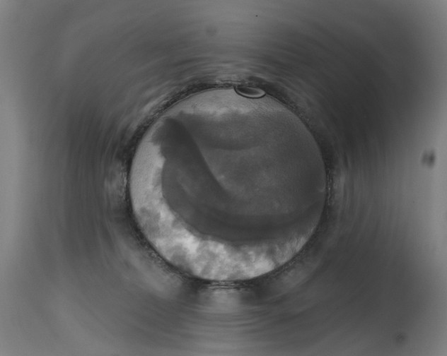 X0000114720228200911121739