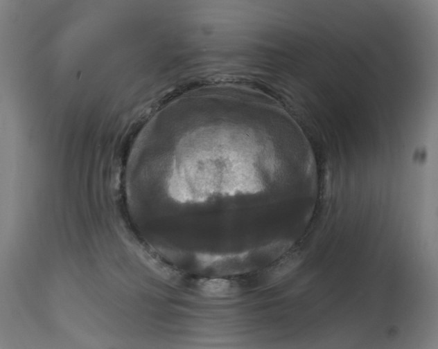 X0000114720230200911121739