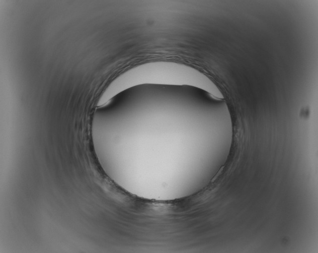 X0000114720233200911121739