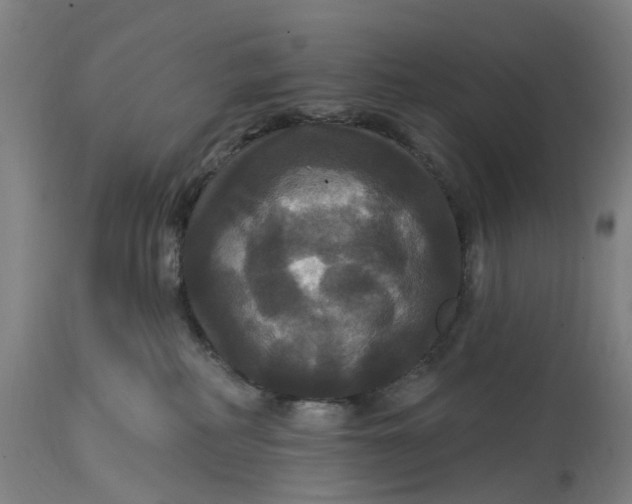 X0000114720234200911121739