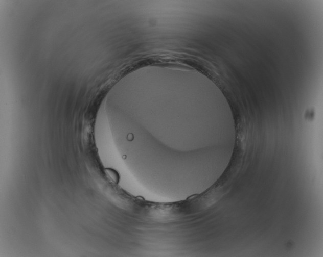 X0000114720235200911121739