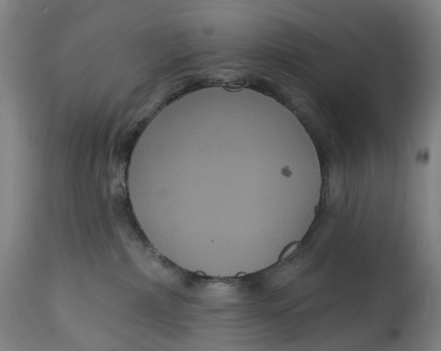 X0000114720236200911121739