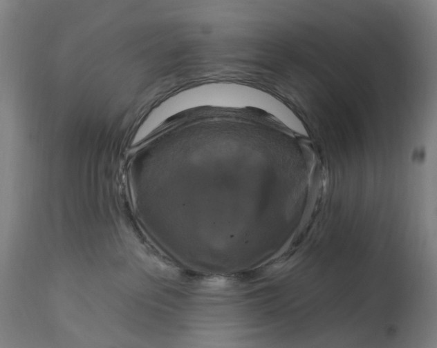 X0000114720237200911121739