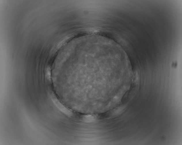 X0000114720238200911121739