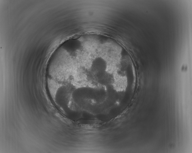 X0000114720241200911121739