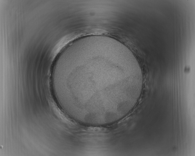 X0000114720242200911121739