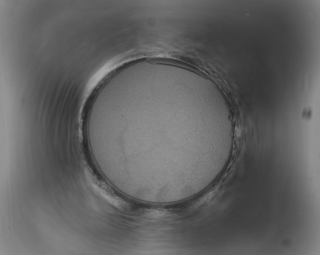 X0000114720246200911121739