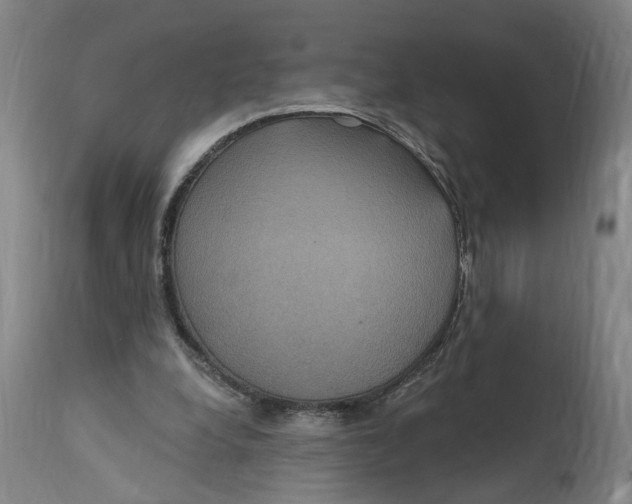 X0000114720248200911121739