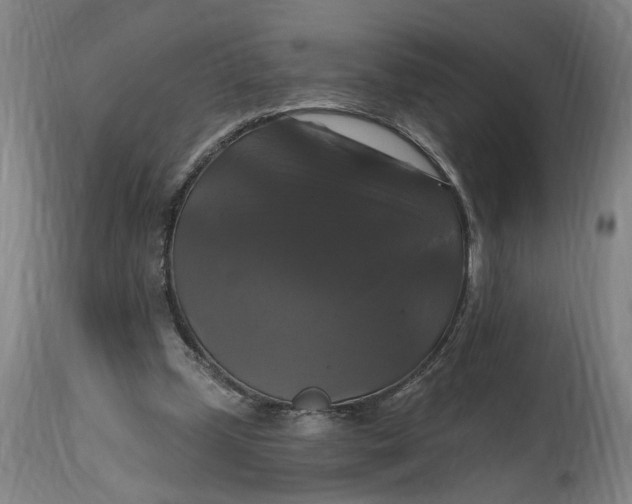 X0000114720249200911121739