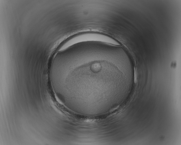 X0000114720252200911121739