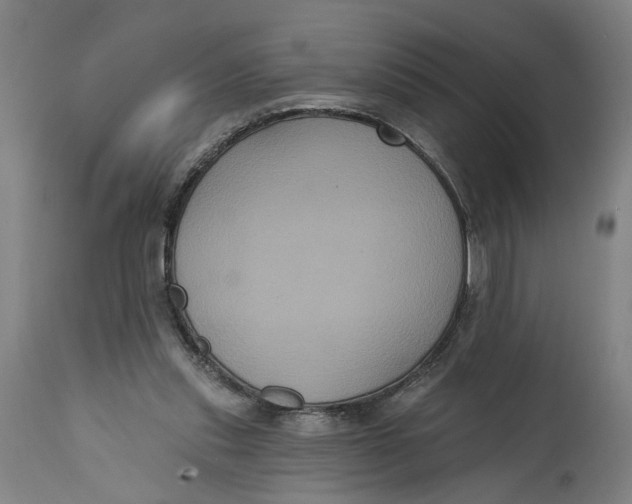 X0000114720253200911121739