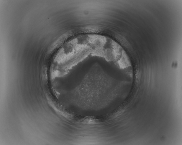 X0000114720254200911121739