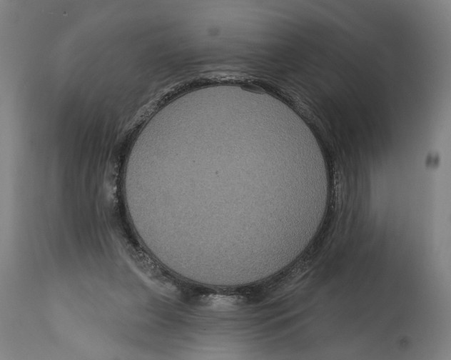 X0000114720255200911121739