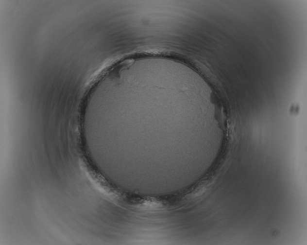 X0000114720256200911121739