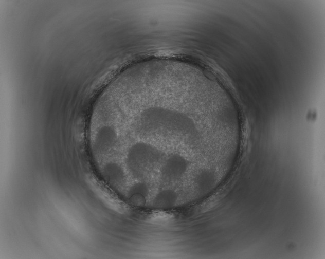 X0000114720257200911121739