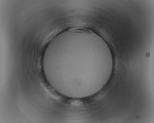 X0000114720258200911121739