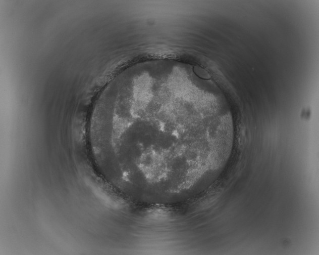 X0000114720259200911121739