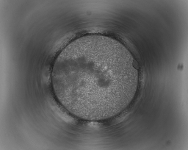 X0000114720261200911121739