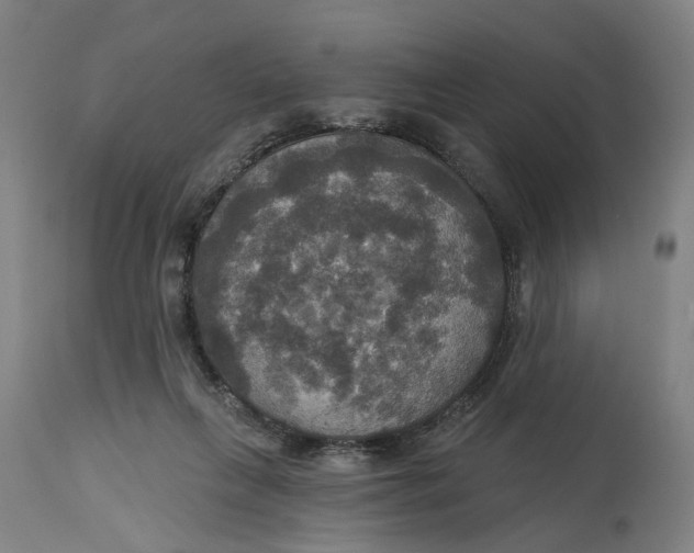 X0000114720263200911121739