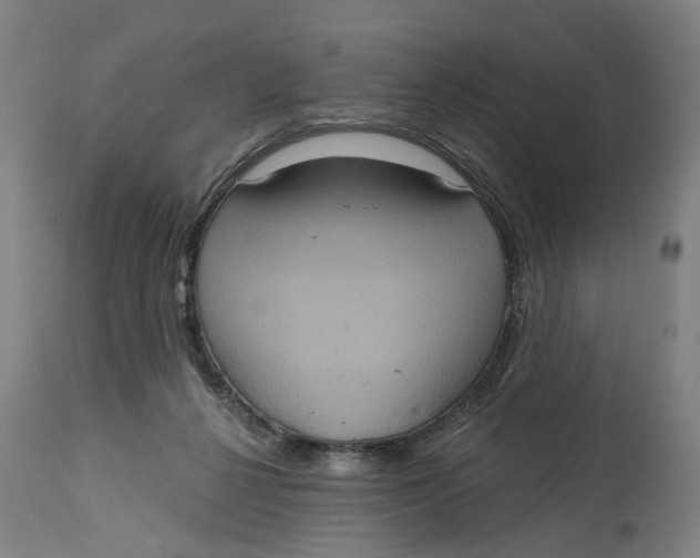 X0000114720264200911121739