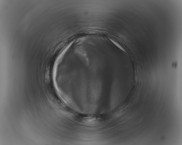 X0000114720267200911121739