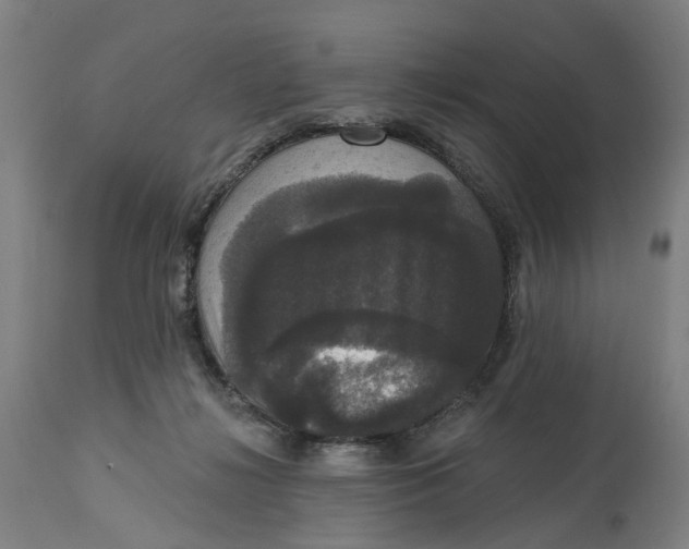 X0000114720268200911121739