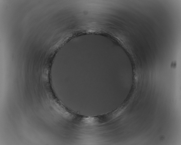 X0000114720269200911121739