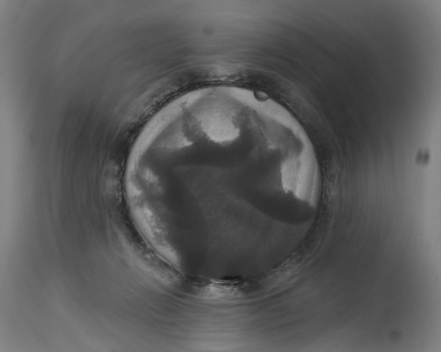 X0000114720270200911121739