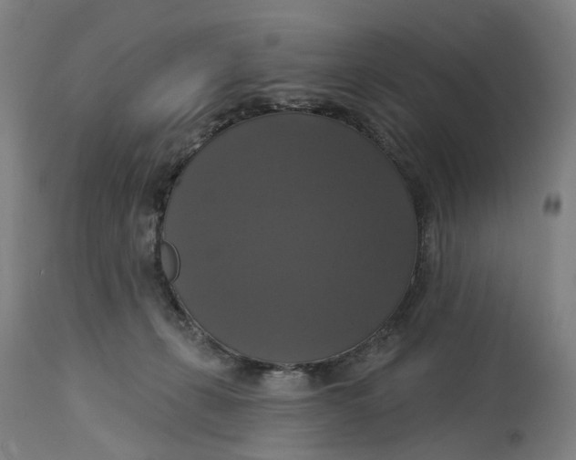 X0000114720271200911121739