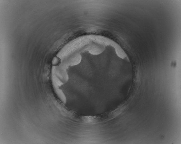 X0000114720273200911121739