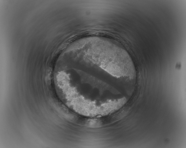 X0000114720275200911121739