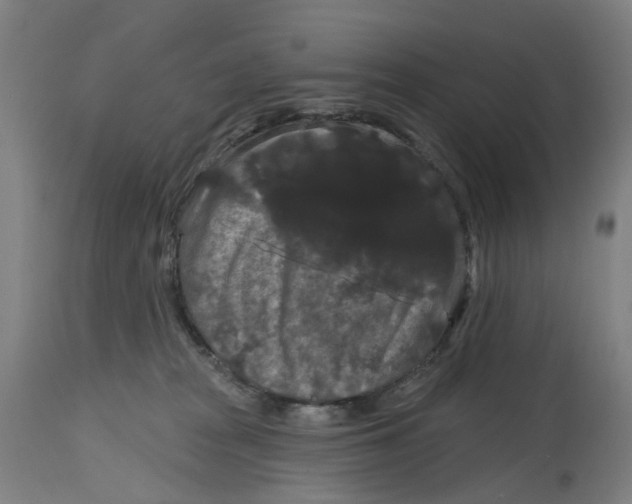 X0000114720277200911121739