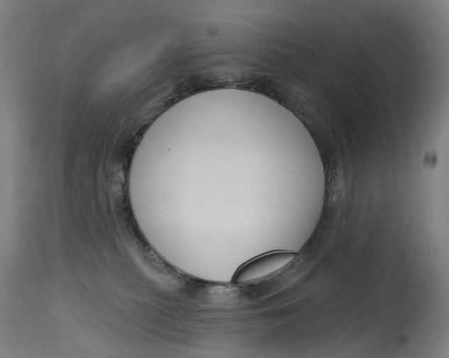 X0000114720279200911121739