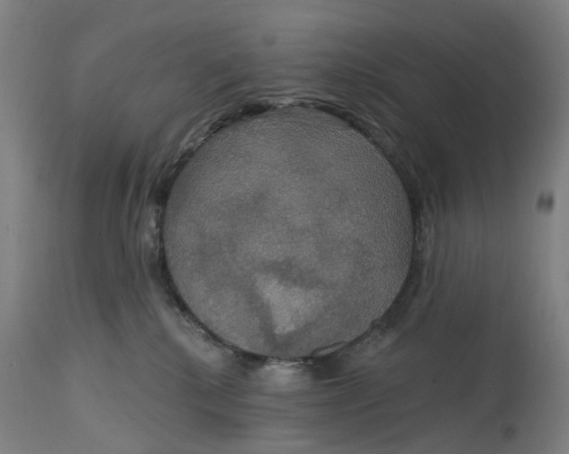 X0000114720280200911121739