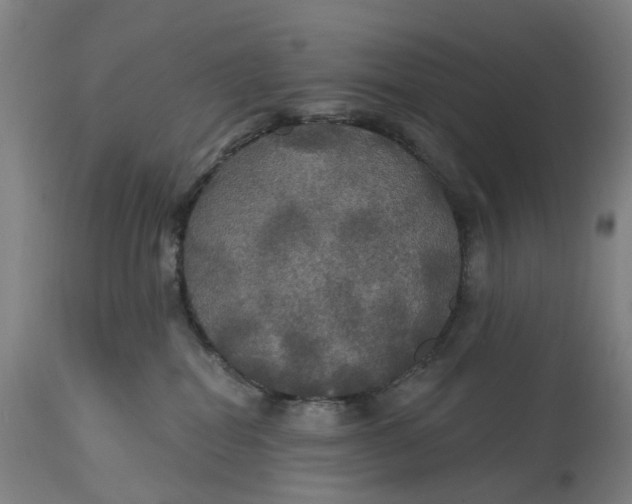 X0000114720282200911121739