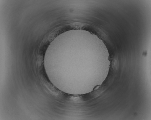 X0000114720283200911121739