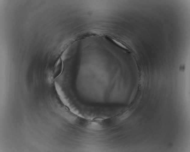 X0000114720285200911121739