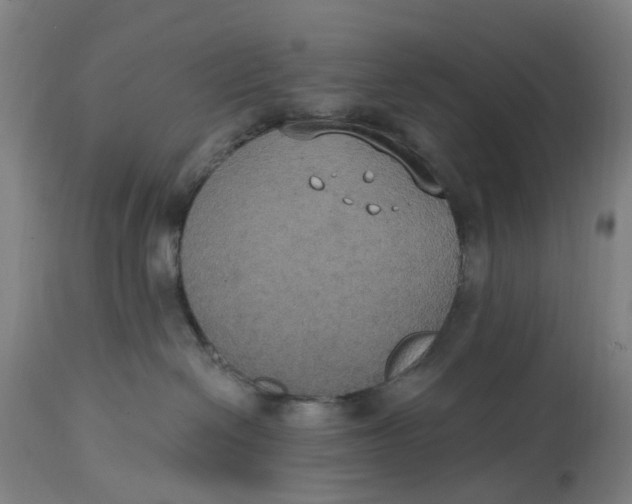 X0000114720286200911121739