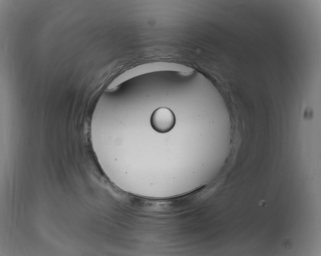 X0000114720288200911121739