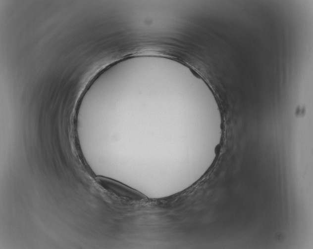 X0000114720289200911121739