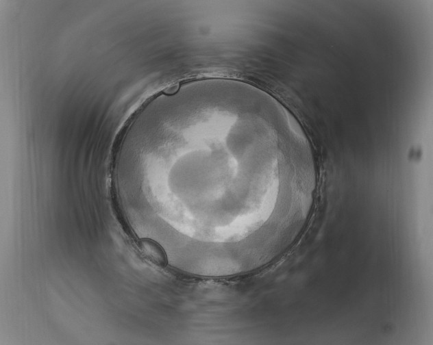 X0000114720290200911121739