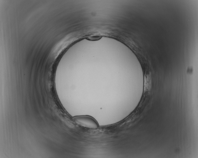 X0000114720291200911121739