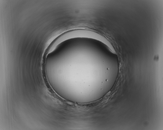 X0000114720292200911121739