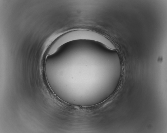 X0000114720294200911121738